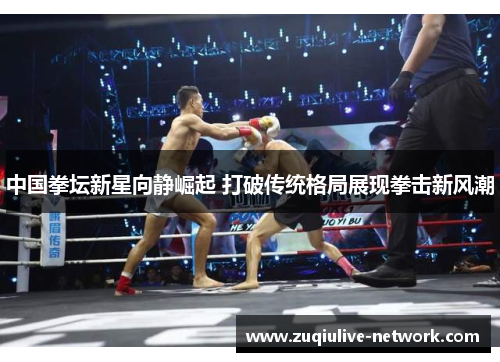 中国拳坛新星向静崛起 打破传统格局展现拳击新风潮