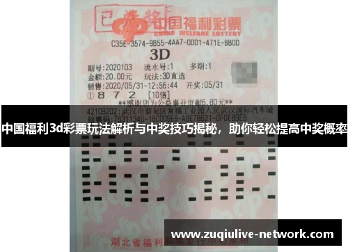 中国福利3d彩票玩法解析与中奖技巧揭秘，助你轻松提高中奖概率