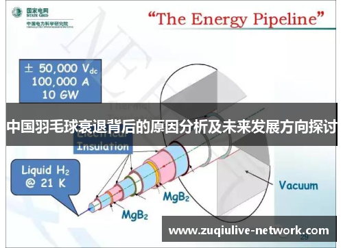 中国羽毛球衰退背后的原因分析及未来发展方向探讨