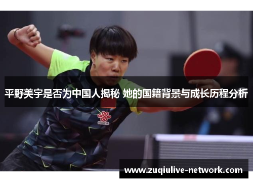 平野美宇是否为中国人揭秘 她的国籍背景与成长历程分析